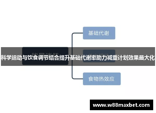 科学运动与饮食调节结合提升基础代谢率助力减重计划效果最大化