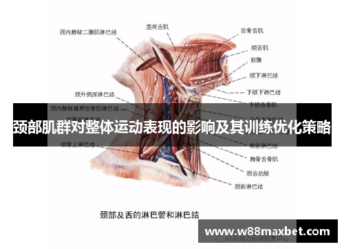 颈部肌群对整体运动表现的影响及其训练优化策略